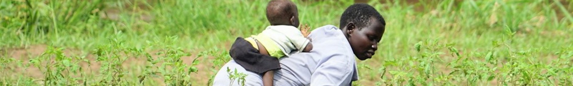 South Sudan Water Cultivation Niras